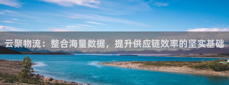多多28反水怎么算：云聚物流：整合海