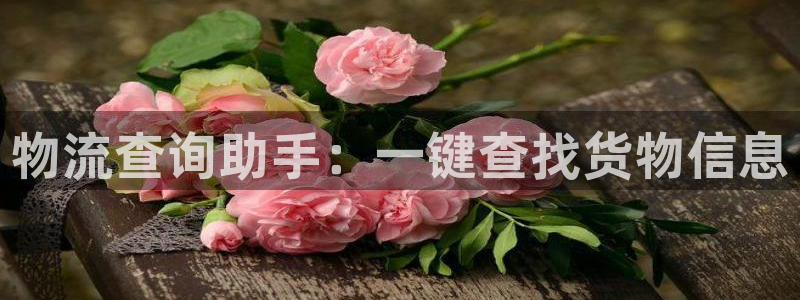 多多28如何看012路计划：物流查询