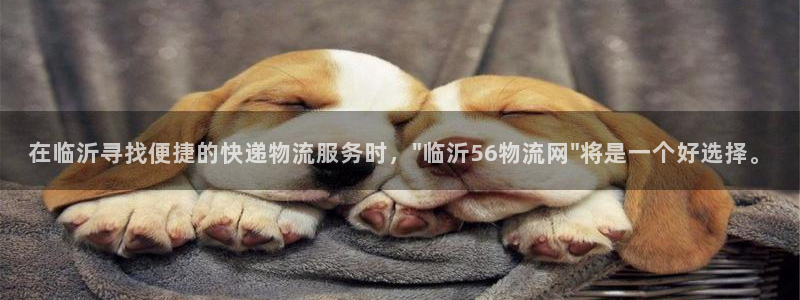 多多28PG电子游戏：在临沂寻找便捷