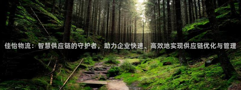 多多28官网入口o：佳怡物流：智慧供