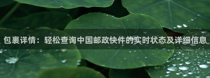 多多28黑不黑：包裹详情：轻松查询中