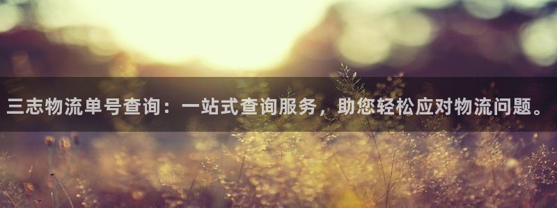 多多28充值不到账：三志物流单号查询