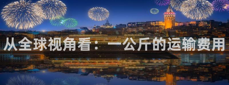 多多28入口问一问：从全球视角看：一
