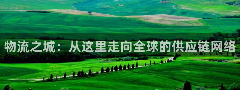 多多28官网开奖结果预测查询：物流之