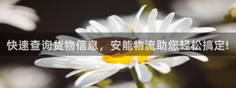 多多28官网入口2024：快速查询货