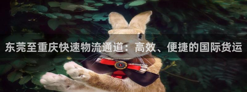 多多28初始资金密码在哪里改：东莞至