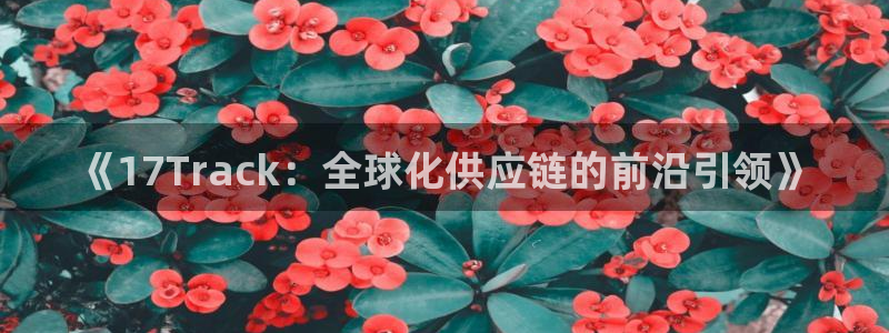 多多28怎么下载不了：《17Track：全球化供应链的前沿引