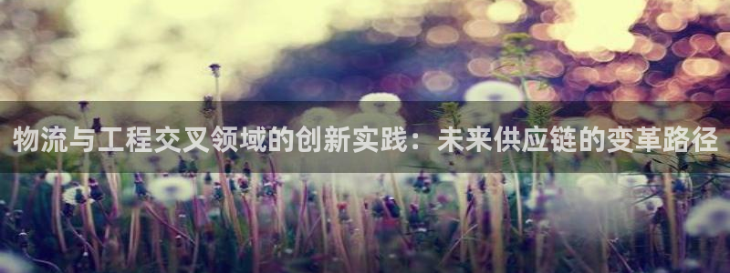 多多28怎么下载：物流与工程交叉领域