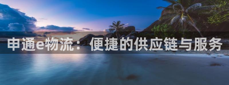 多多28网站平台