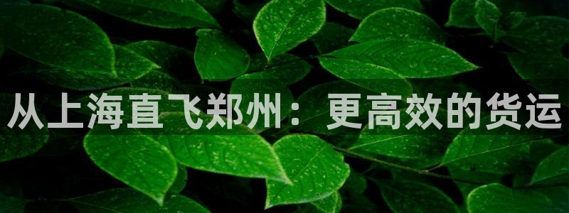 多多28是啥：从上海直飞郑州：更高效的货运