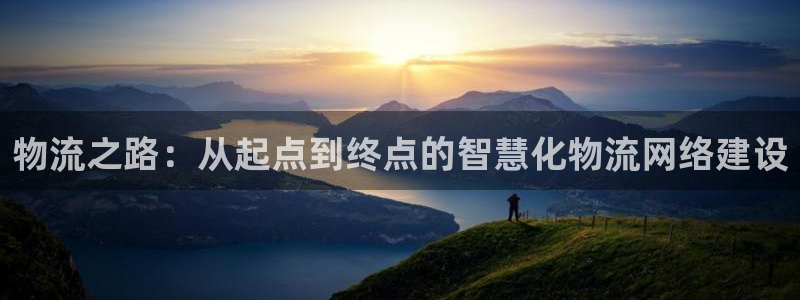 多多28官网入口:物流之路:从起点到