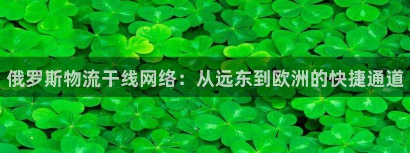 多多28p扣款什么意思:俄罗斯物流干