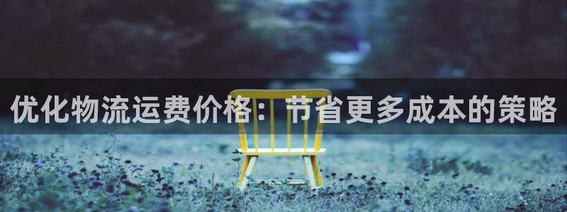 多多28官网开奖结果预测:优化物流运