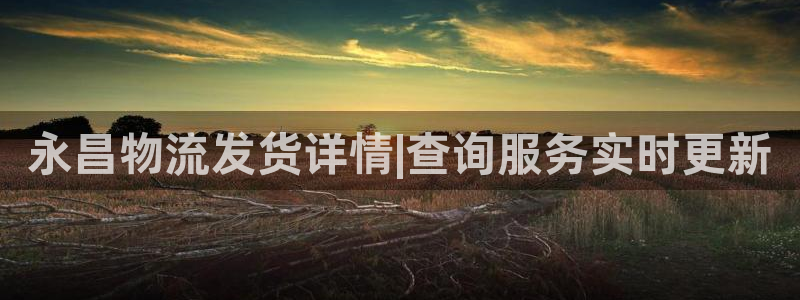 多多28官网下载链接:永昌物流发货详