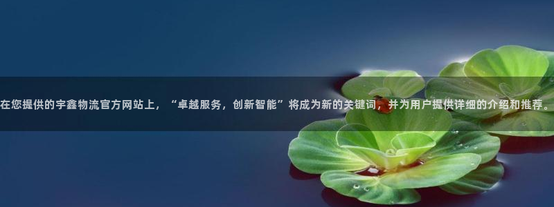 多多28的自行车:在您提供的宇鑫物流