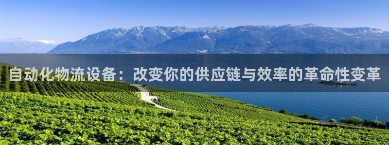 多多28口内径是多大:自动化物流设备