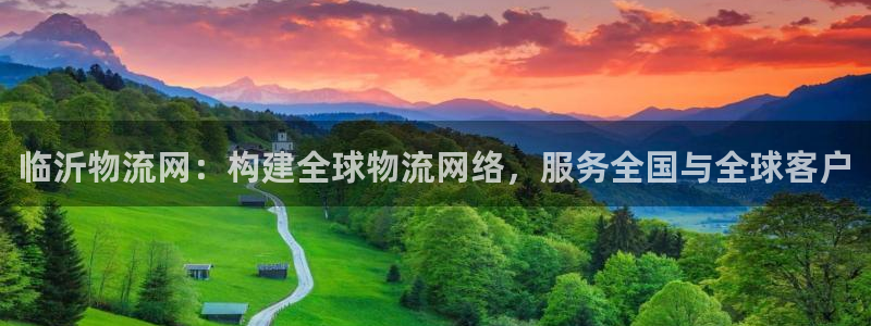 多多28头像:临沂物流网:构建全球物