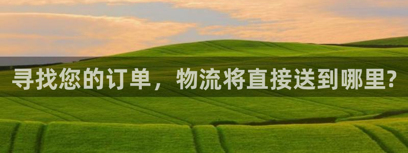 多多28下载体育：寻找您的订单，物流