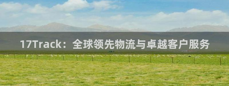 多多28加拿大最新版：17Track：全球领先物流与卓越客户